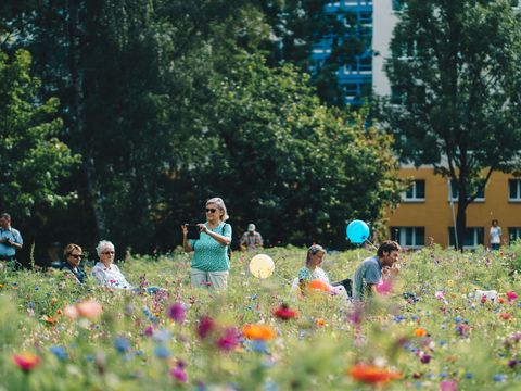 Flowering meadows have sprung up all over the city, as here in Heckert